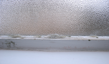 mold on window frame