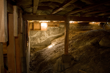 mold under house