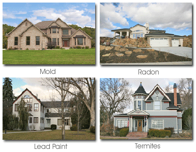 Radon Termite Mold Lead Paint Photo