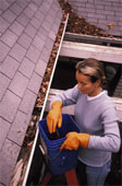 Oxbow Home Gutter Clean